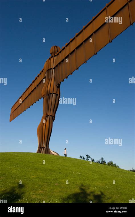  The Angel of the North! A Majestic Steel Guardian Watching Over Gateshead